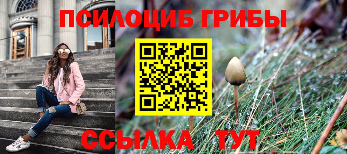 Галлюциногенные грибы Psilocybe  Вход с VPN  Дмитров  Псилоцибиновые грибы Magic Shrooms 