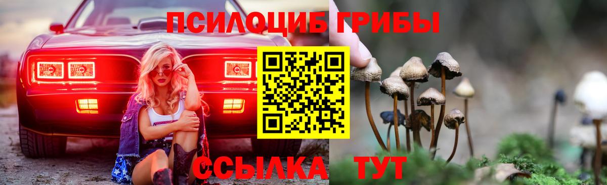 Галлюциногенные грибы Magic Shrooms Дмитров